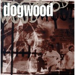 dogwood